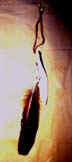 hairtiesb..jpg (24299 bytes)