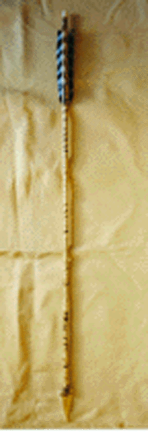 arrow2nlarge.gif (71564 bytes)