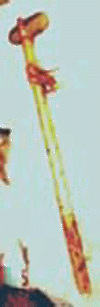 club4blarge.gif (36865 bytes)
