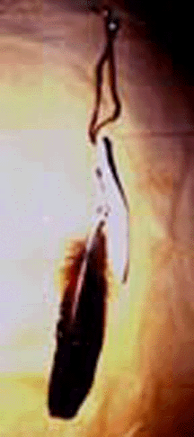 hairtiesblarge.gif (65000 bytes)