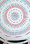 WSP10